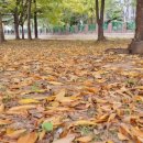 팬더차이나 이미지