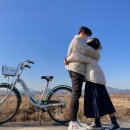 동읍896 | 일상 블로그 2021. 1. 20 착륙 일기