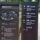 강남의 세계문화유산 선릉 (성종의 선릉,중종의 정릉) 2024.5.25.토 이미지