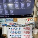 에코승마아카데미 | [제주도] 승마체험 후기 / 에코승마아카데미