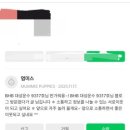 멈미스