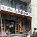 강아지 마을 | [가평] 유명산도토리마을 : 내돈내산 후기 (+강아지)