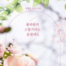바람의숨결