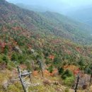 해모수치과의원 이미지