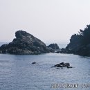 수산항요트마리나 이미지