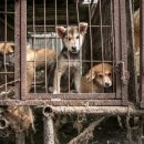 이원택농장 이미지