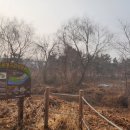 해오름근린공원 이미지