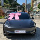 (주)패키지랜드 | [거제 테슬라] 테슬라 모델3 하이랜드 거제 신차패키지 시공 후기, 버텍스900 썬팅 + PPF 6종 + 유리막코팅
