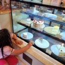 안덕하나주유소 | 제주 서귀포 케이크맛집 "엘리스케이커리제주" 방문 후기