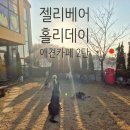 젤리베어 홀리데이 | 파주 젤리 베어 애견카페 후기 2탄