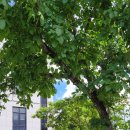 효행복요양원 이미지