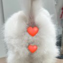 살롱 꼬미'S 이미지