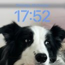 스마일100치과의원 이미지