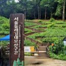 쌍봉산근린공원 | 서울둘레길 9코스(명품강남둘레길 4코스): 수서역에서 매봉역까지 걷기