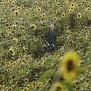 홍이컴퍼니 이미지