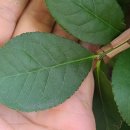 활터어린이공원 이미지