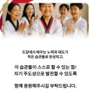 새빛 태권도 이미지