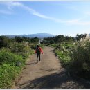 무릉외갓집 이미지