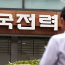 4분기 전기료 산업용 대용량만 10원 인상 가정 업소용 동결 기사 이미지