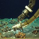 see more sea A 이미지