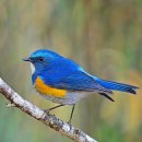 파랑새목장 이미지