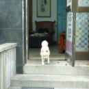천사건강원 네이버블로그