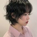 설렘헤어룸