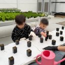 스마트농장 | 충북 진천 뤁스퀘어 "이모농장" 스마트팜 체험농장 방문 후기 | 딸기체험, 쿠킹클래스까지-