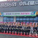 흥천농협하나로마트 이미지