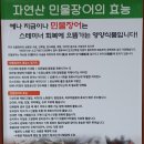 강경농장 네이버블로그