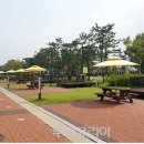 속초해변 국민여가 캠핑장 이미지