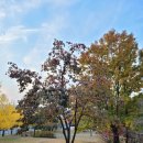 카이스트 후문 이미지