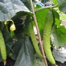 큰곰유치원 이미지