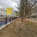 테크노초등학교 이미지