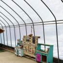 설매농장 이미지