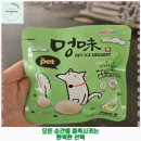 컨테이너 카페 | 고봉동 애견카페 멍스컨테이너 일산점 가격 및 후기 추천 리뷰 주차 예약 알아봐요