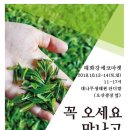 에코마켓 이미지