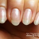 비비올리 네이버블로그