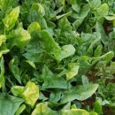 택배농장 이미지