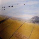 영화농장 이미지