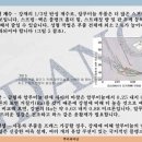 자동차성형 이미지