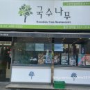 국수나무 양지점 네이버블로그