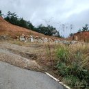 가우도바닷가펜션 이미지