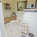 하이몽몽 이미지