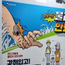 왕진농장 이미지