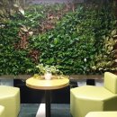 에코가든 이미지