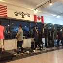 임팩트짐 이미지