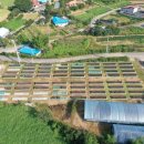 인양양초장 이미지