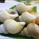 오대양물회식당 이미지