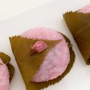 모찌